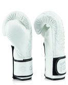 Fairtex X Glory boxing gloves BGVG3 8