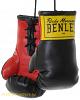 BenLee Mini Boxhandschuhe 4