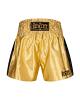 BenLee kick and muay thai shorts Goldy 8