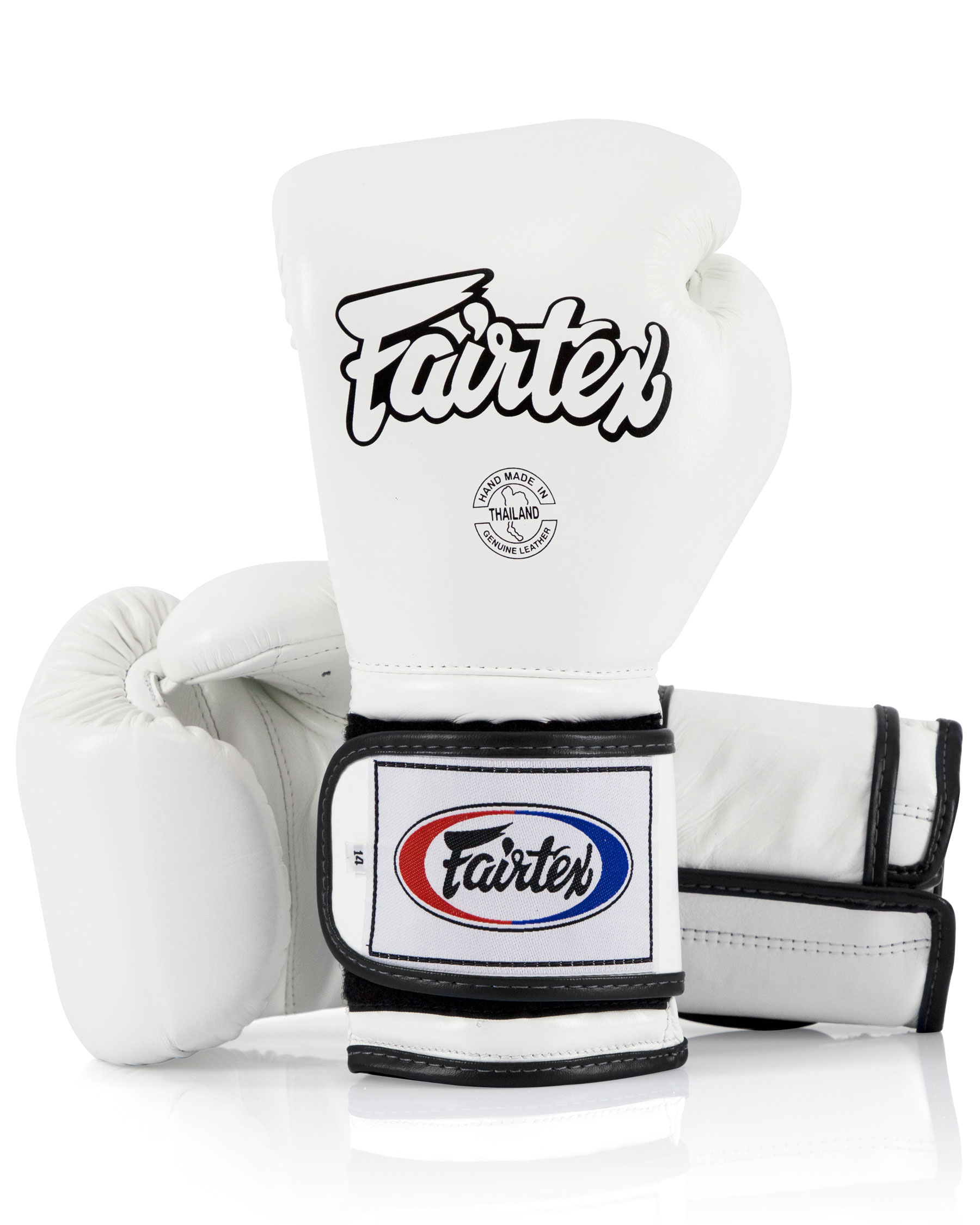 Fairtex Heavy Hitter's Boxhandschuhe - Mexican Style (BGV9)