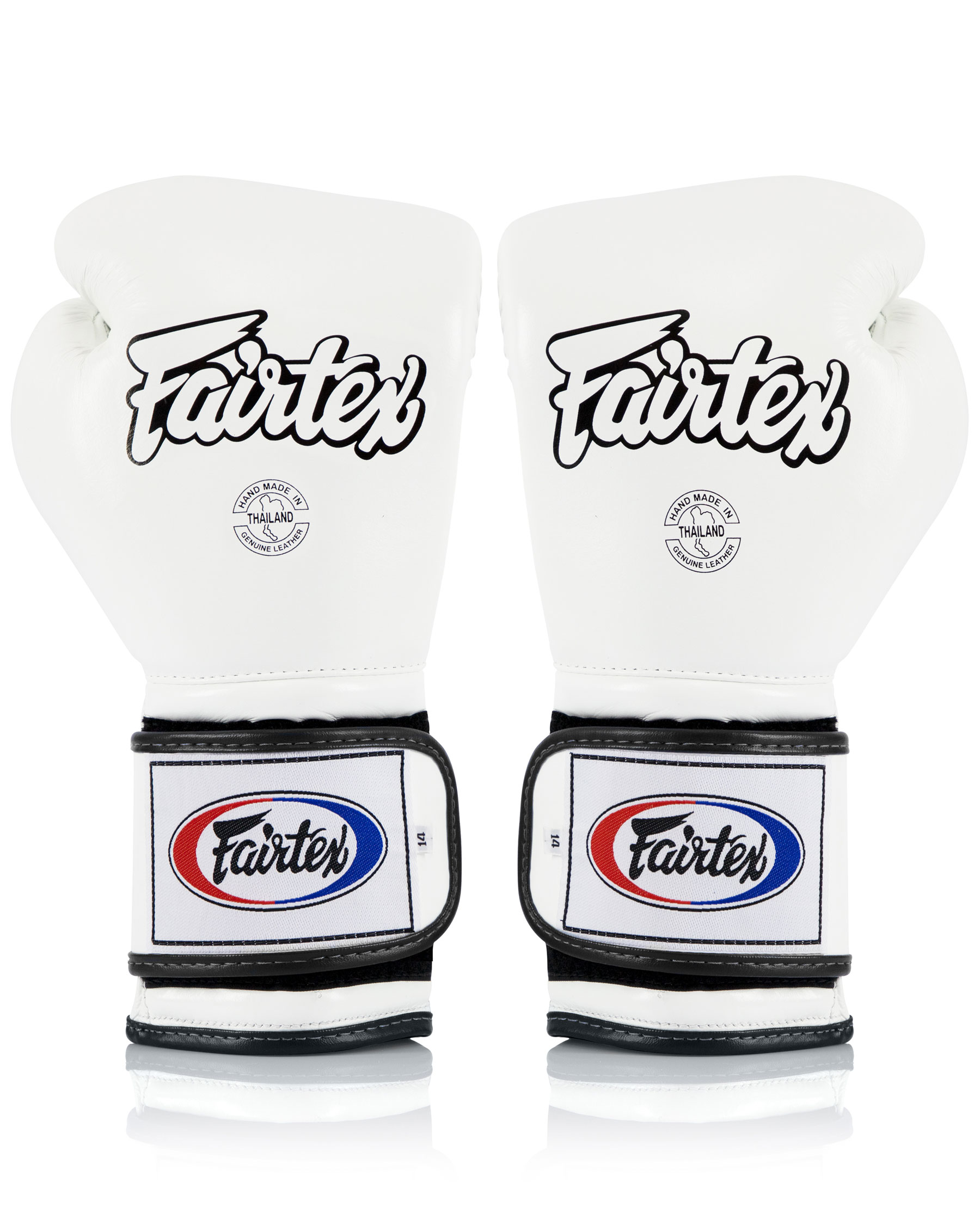 Fairtex Heavy Hitter's Boxhandschuhe - Mexican Style (BGV9)