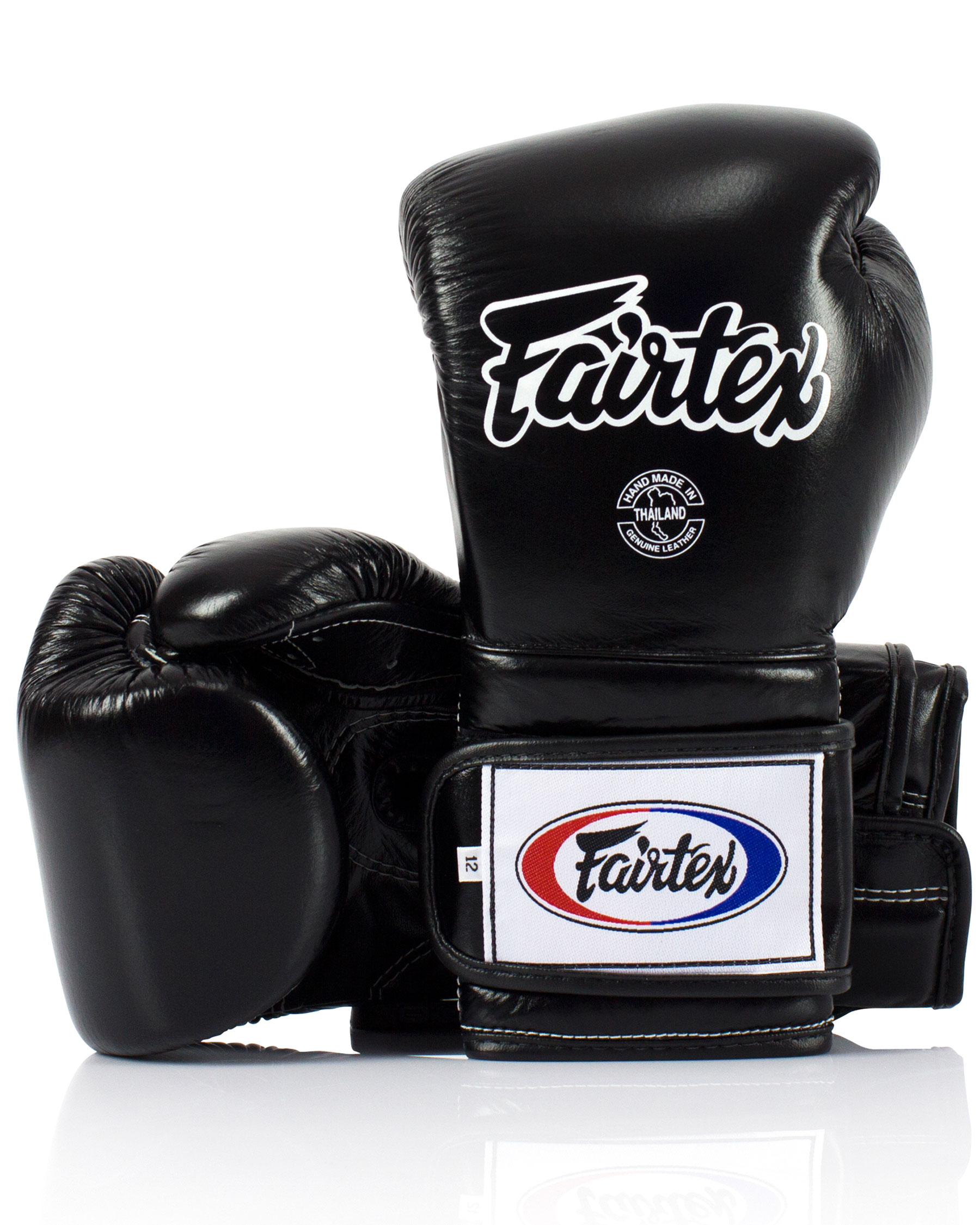 Fairtex Heavy Hitter's Boxhandschuhe - Mexican Style (BGV9)