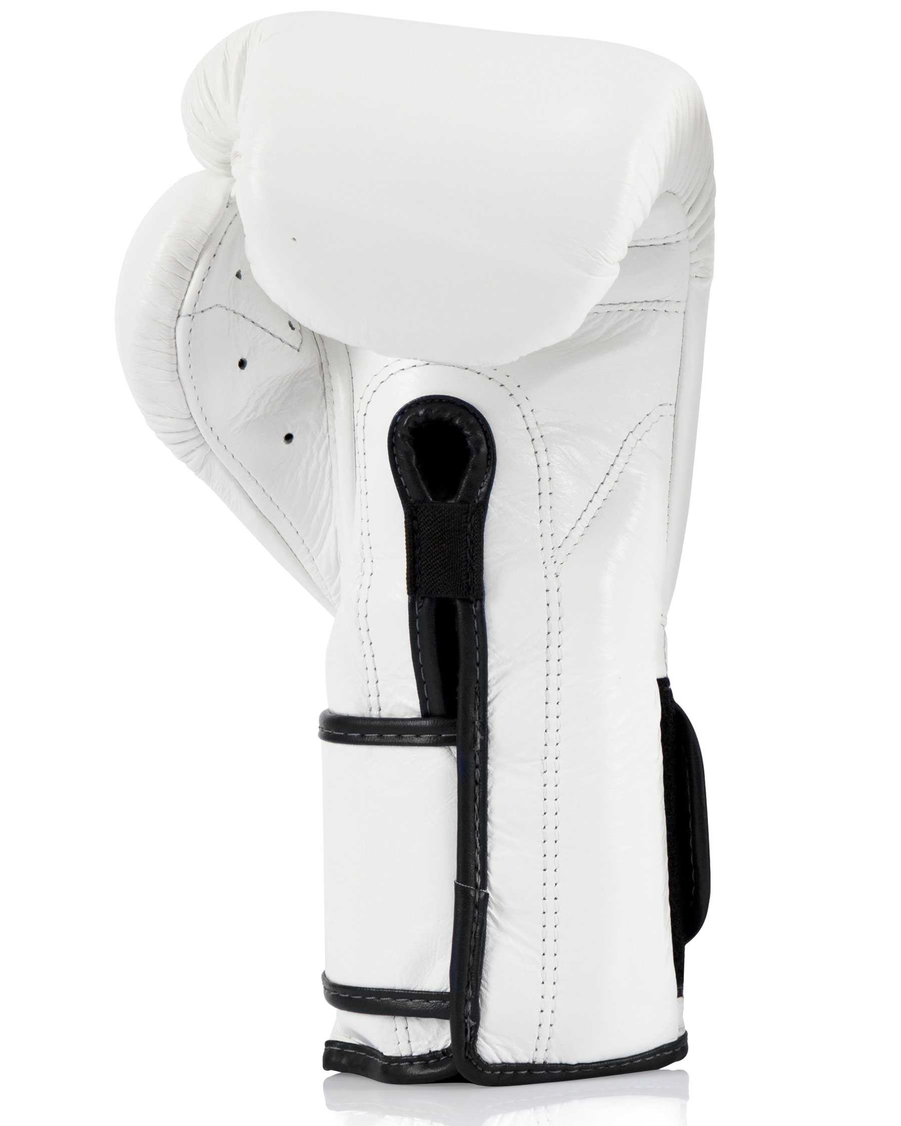 Fairtex Heavy Hitter's Boxhandschuhe - Mexican Style (BGV9)