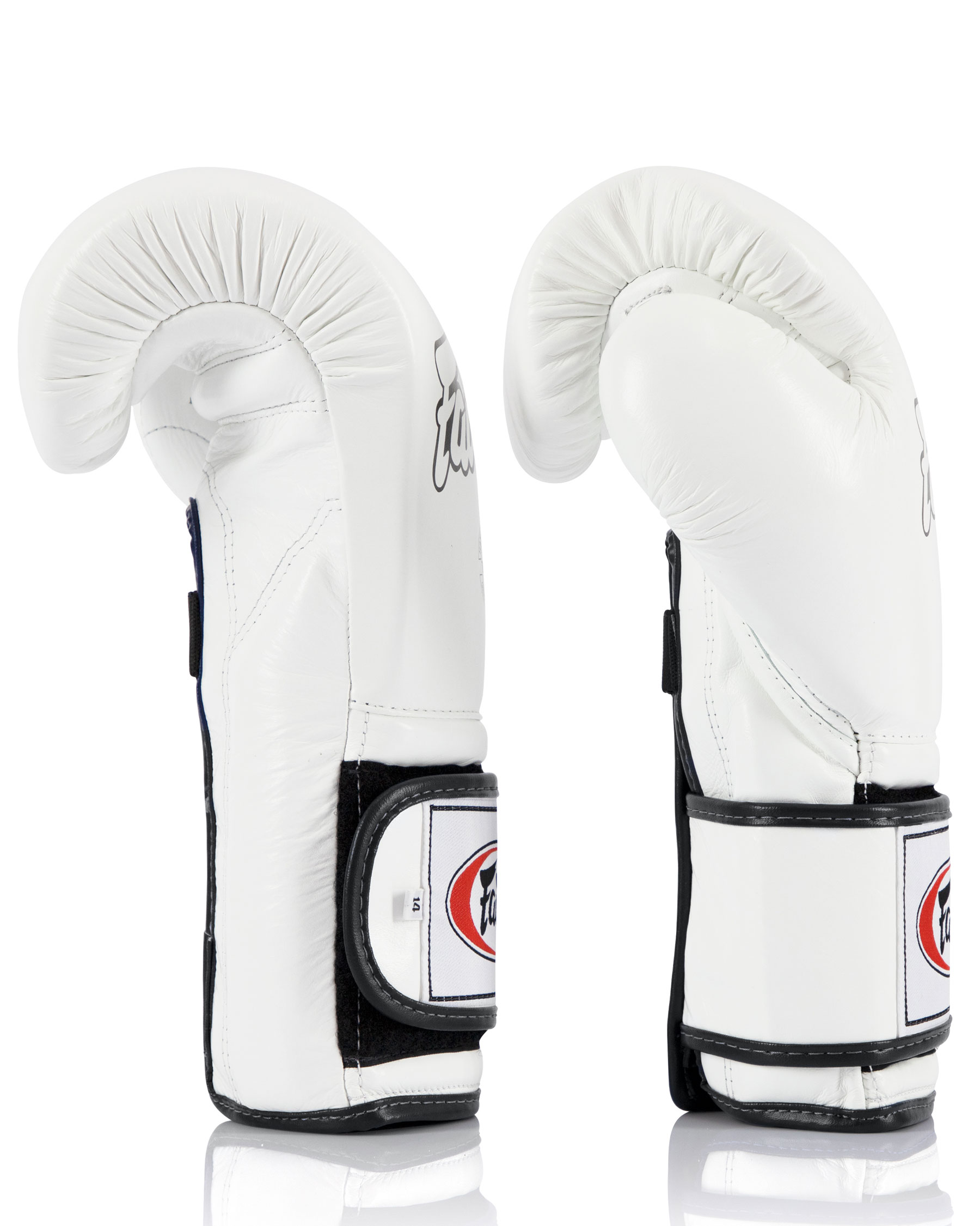 Fairtex Heavy Hitter's Boxhandschuhe - Mexican Style (BGV9)