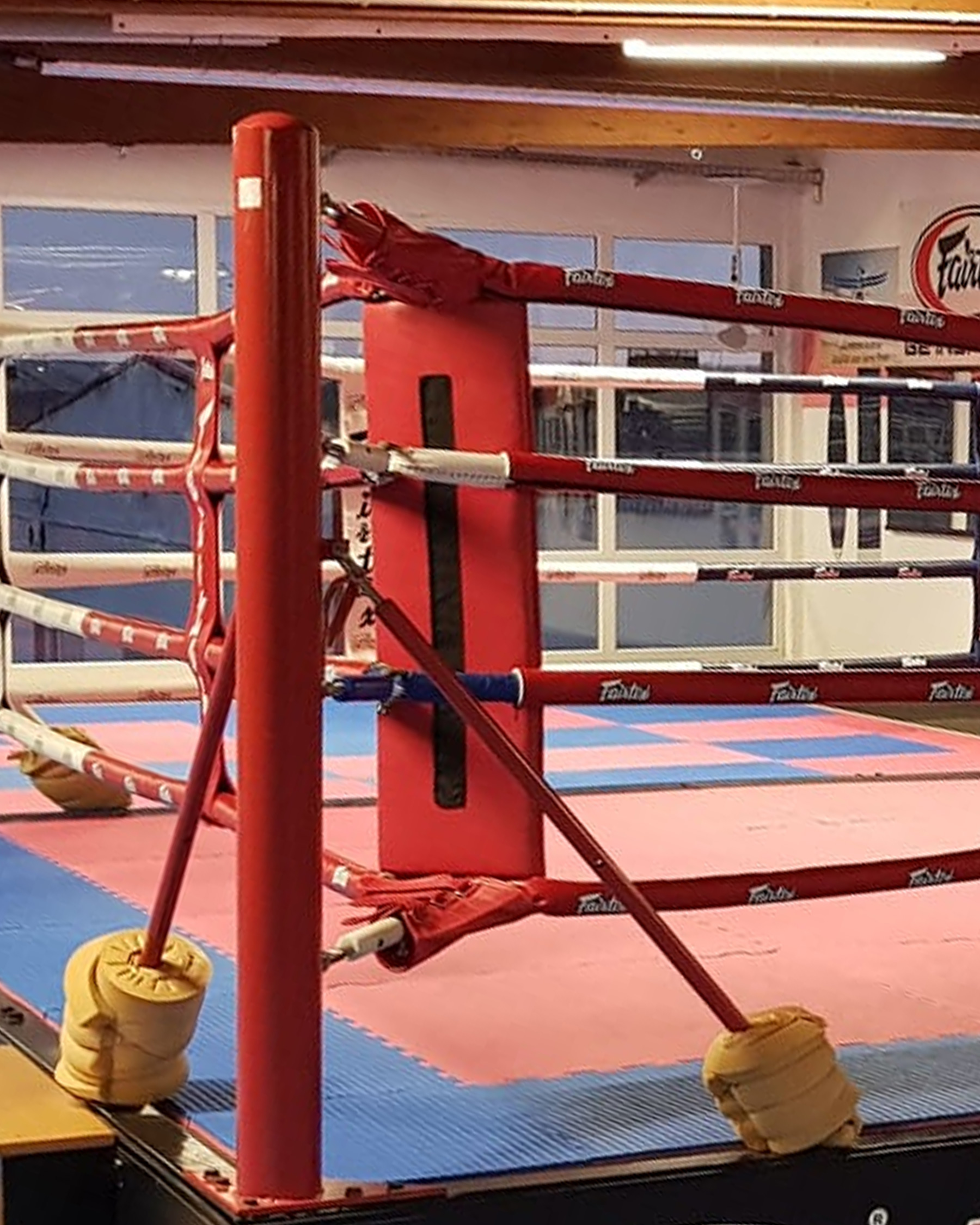 Fairtex CP Corner Pads