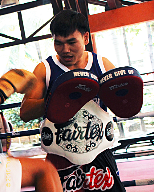 Fairtex The Ultimate Cardio Focuss Mitts Fmv13 Training Pads Fairtex Muay Thai And Mma Shop