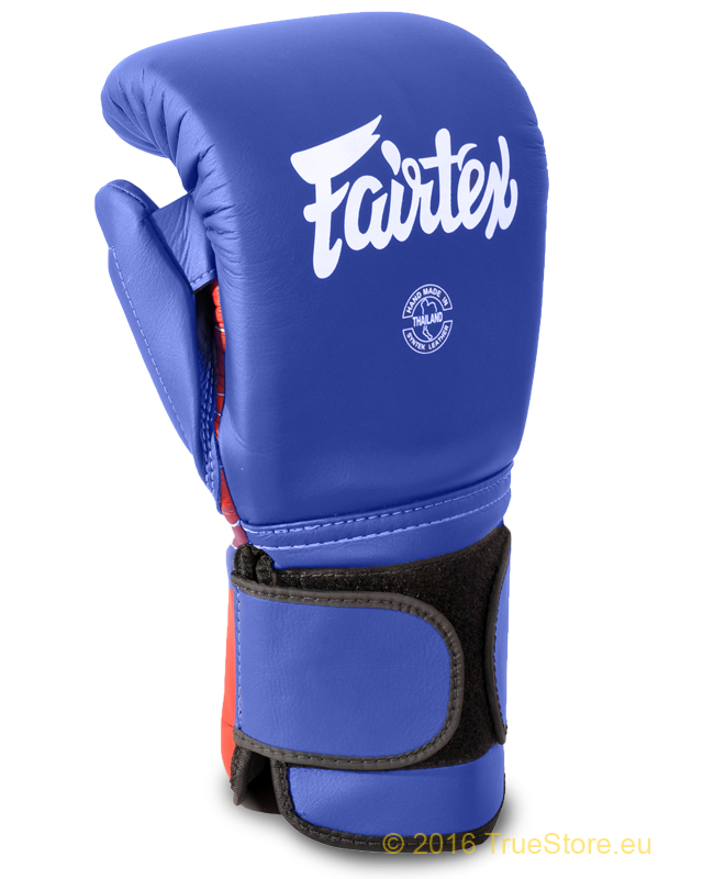 Fairtex Coach spar gloves BGV13 Focus mitts and kickpads