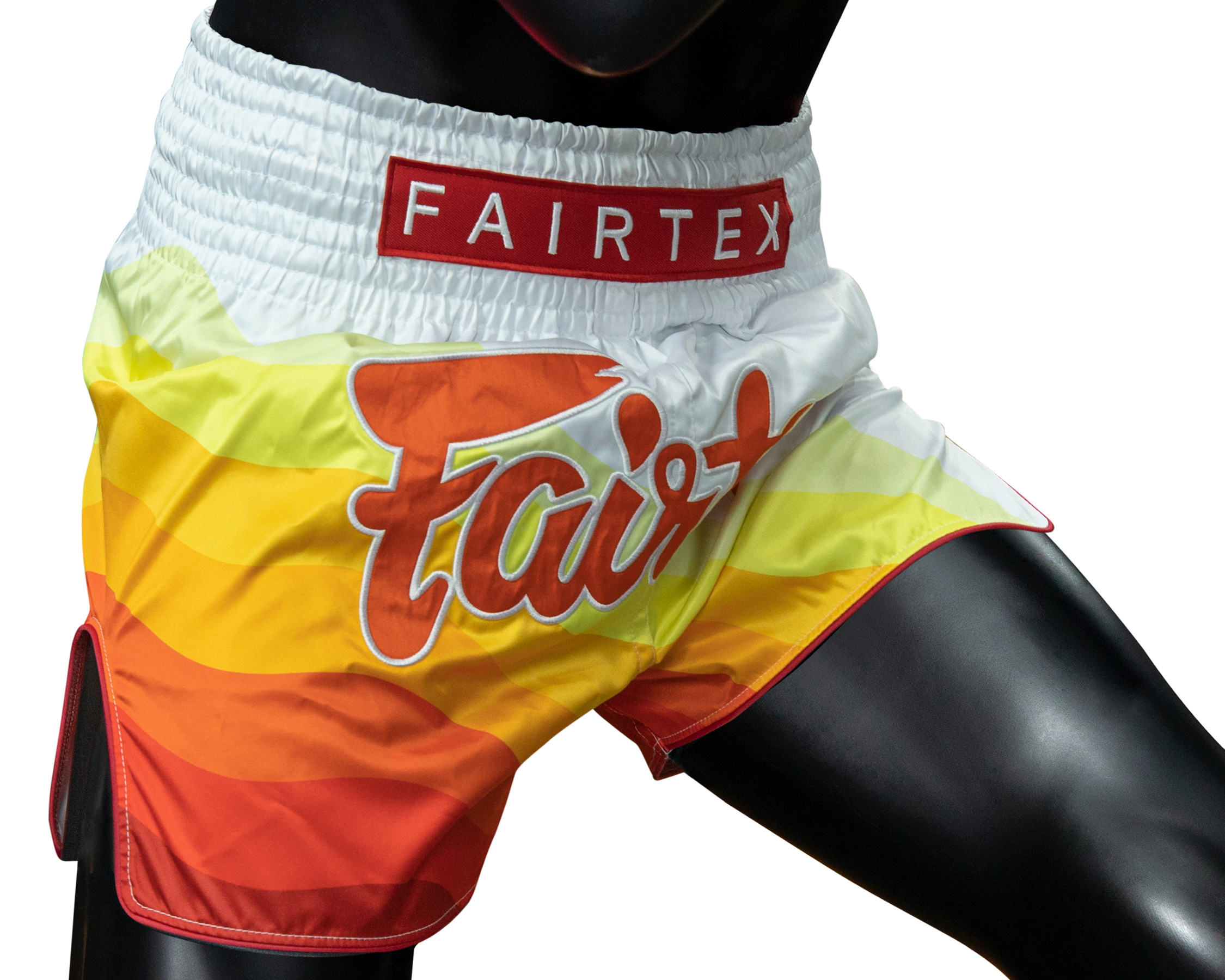 Fairtex BS1932 Muay Thai Shorts Spectrum