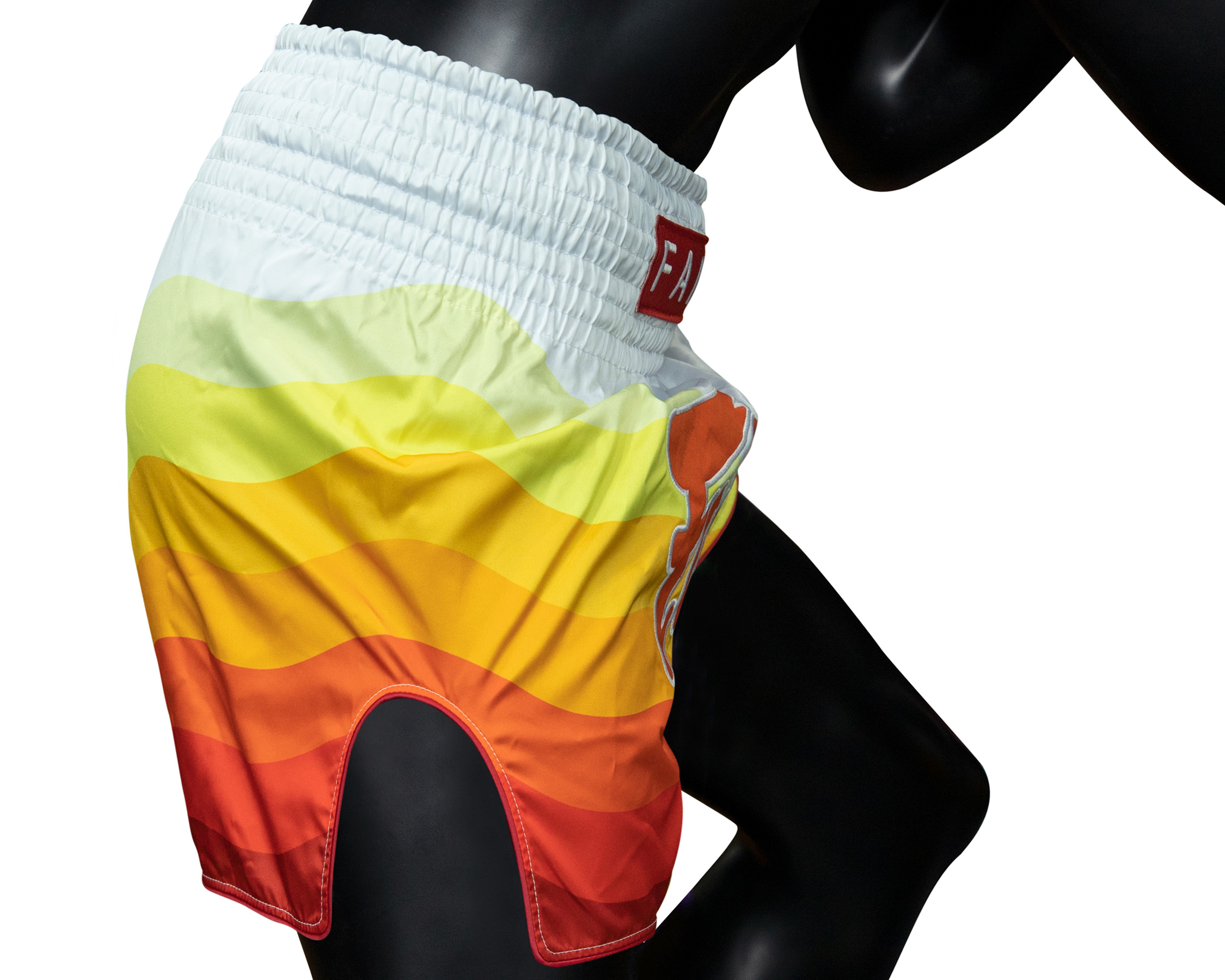 Fairtex BS1932 Muay Thai Shorts Spectrum
