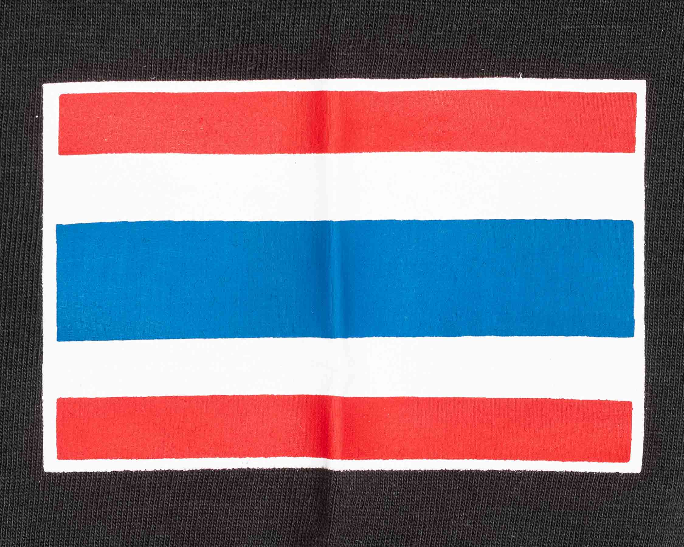 BenLee t-shirt ThaiCity