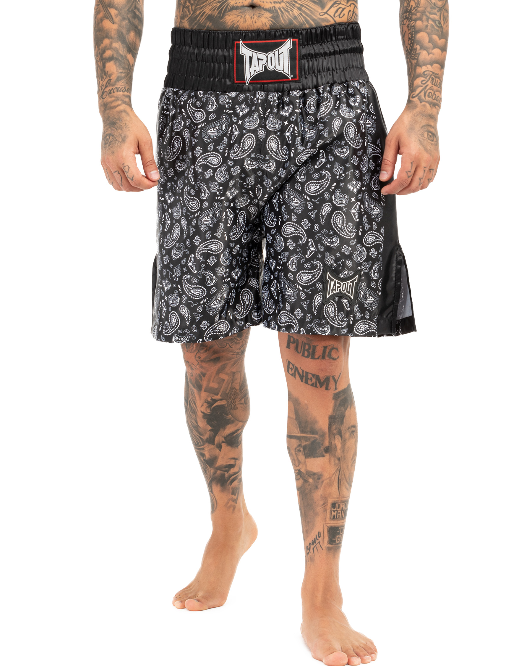 TapouT Boxing Moreno