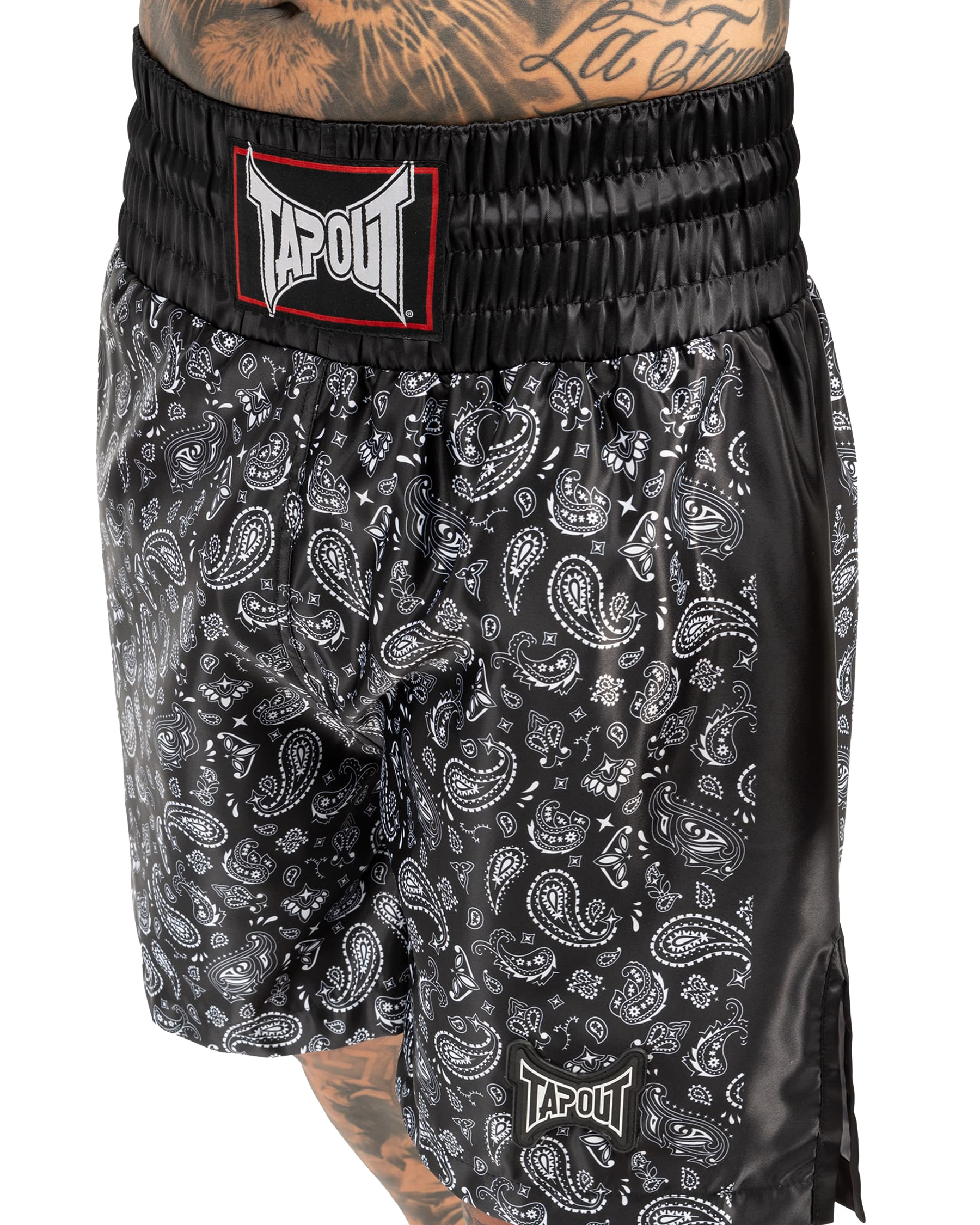 TapouT Boxing Moreno