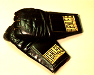 Bag mitts