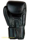 Fairtex Boxing Gloves Leather - Tight Fit (BGV1) 7