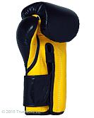 Fairtex Heavy Hitter&#039;s Boxhandschuhe - Mexican Style (BGV9) 8