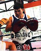 Fairtex Pratzen Cardio Focus Mitts (FMV13) 8