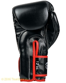 Fairtex Boxing gloves Pro Velcro BGV14 3