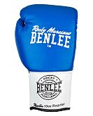 BenLee Leder Boxhandschuh Newton 2