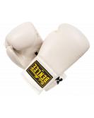 BenLee autograph boxing glove 3