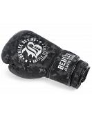BenLee boxing gloves Anthony 2