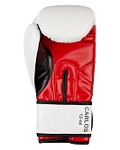 BenLee boxing gloves Carlos 5