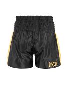 BenLee kick- en thaiboxshort Goldy 2