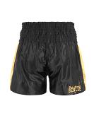 BenLee kick- en thaiboxshort Goldy 2