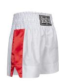 BenLee kick- en thaiboxshort Goldy 12