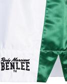 BenLee kick and muay thai shorts Goldy 14