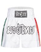 BenLee kick and muay thai shorts Goldy 11