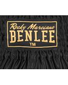 BenLee kick and muay thai shorts Goldy 3