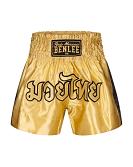 BenLee kick- en thaiboxshort Goldy 7