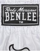 BenLee kick and muay thai shorts Goldy 13