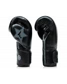 Fairtex X Booster BGVB2 leather boxing gloves in black/black 3