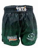Fairtex Fight thaiboks shorts Cresendo-Green 4