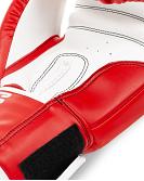 TapouT boxing gloves Colton 6