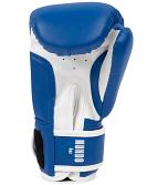 TapouT junior boxing gloves Mundo 2