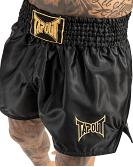 TapouT thaiboxing shorts Zorrey 4