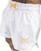 TapouT thaiboxing shorts Zorrey 8