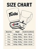 Fairtex Boxhandschuhe Leder Tight Fit (BGV1) 12