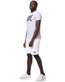 Leone T-Shirt Big Logo 8