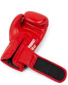 Lonsdale DBV Contest Gloves Probout 3