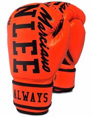 BenLee boxing gloves Chunky B