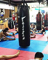 Fairtex 7ft. Pole Bag HB7 3