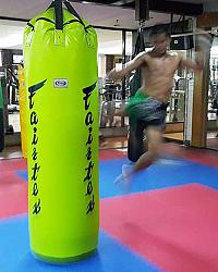 Fairtex 7ft. Pole Bag HB7 4