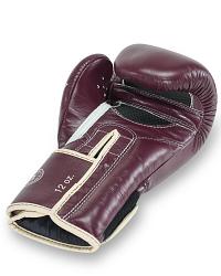 Fairtex X Booster V2 Leder Boxhandschuhe in Braun 5