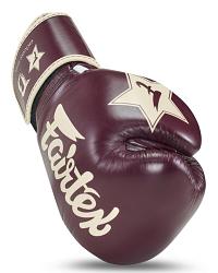 Fairtex X Booster V2 Leder Boxhandschuhe in Braun 4