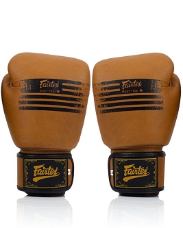 Fairtex BGV21 leather boxing gloves Legacy 2