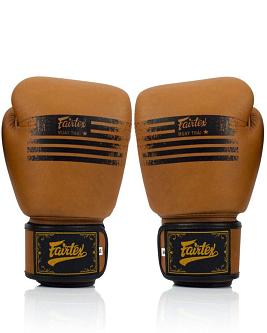 Fairtex BGV21 leather boxing gloves Legacy 2