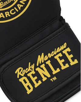 BenLee boxing set Boxgate 4